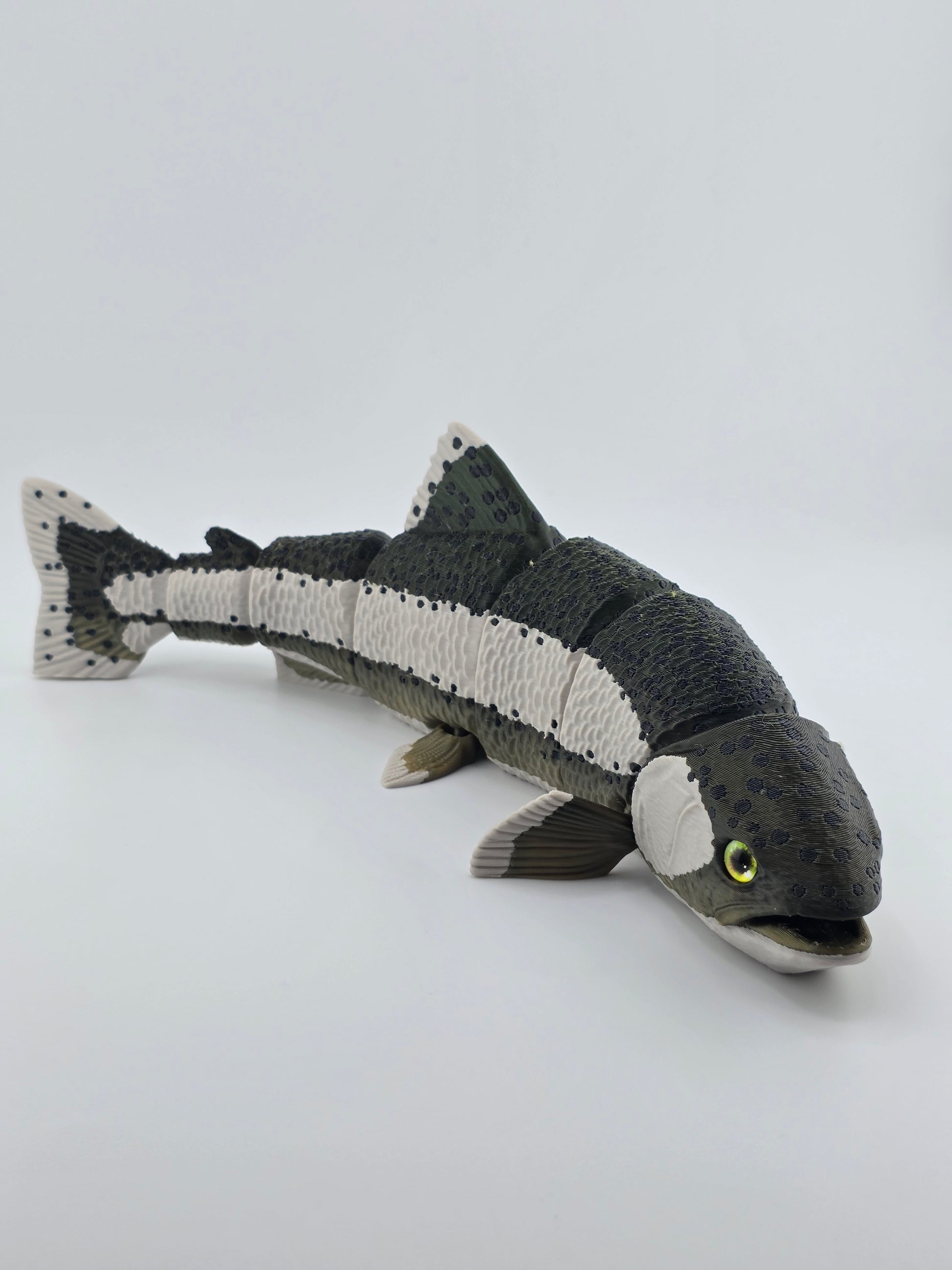 Rainbow Trout