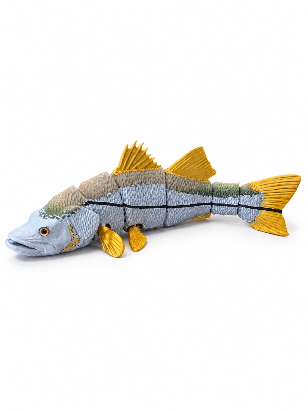 Snook
