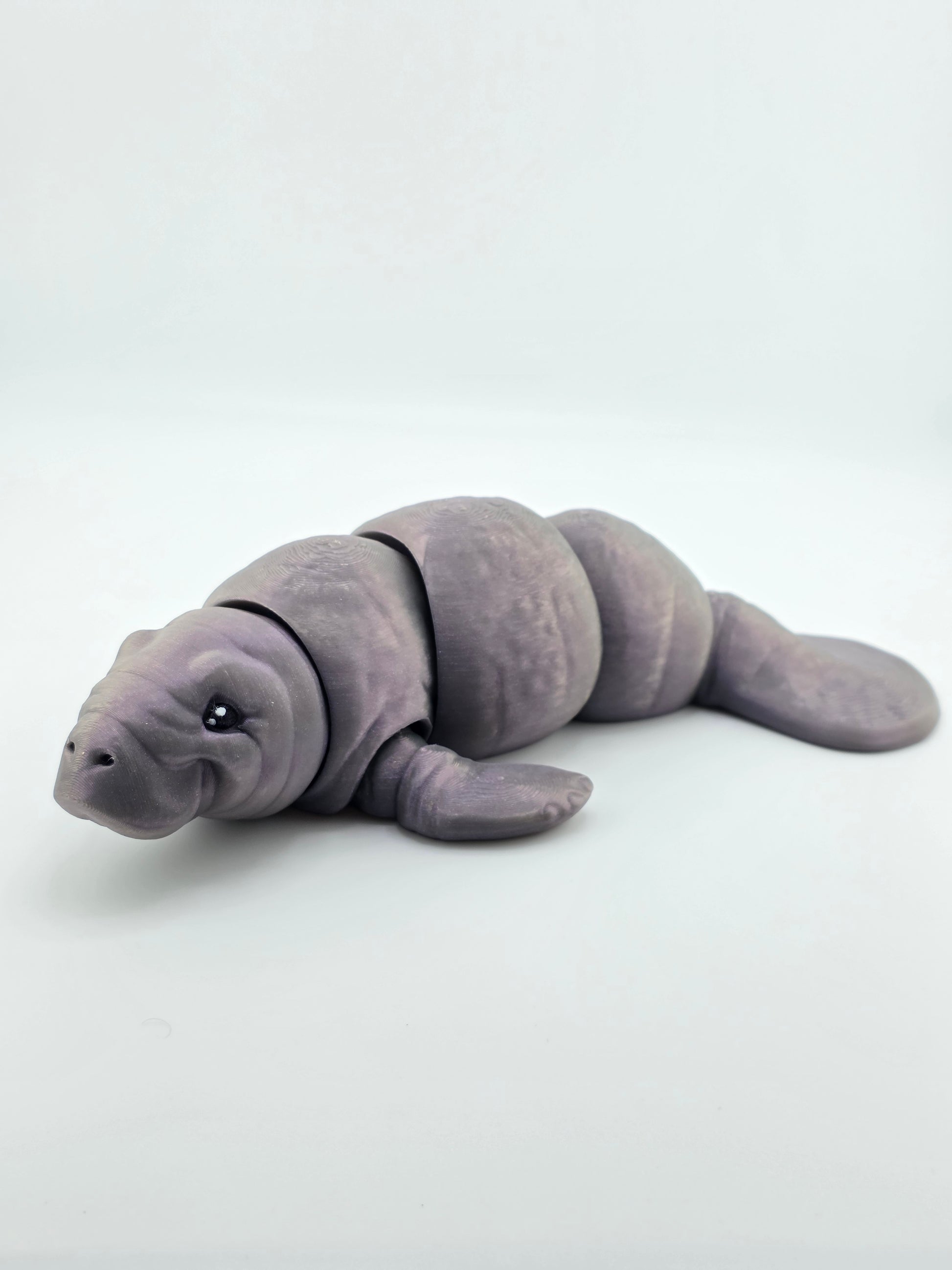 Manatee