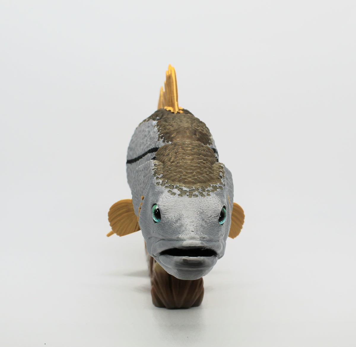 Snook Fish – Articulated 3D Printed Fish with Display Stand
