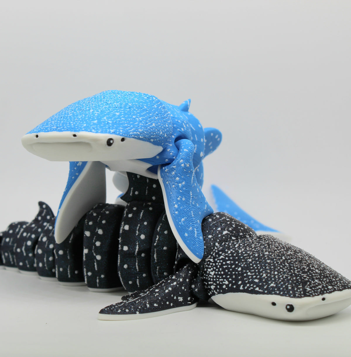 Whale Shark – Articulated 3D Printed Whale Shark